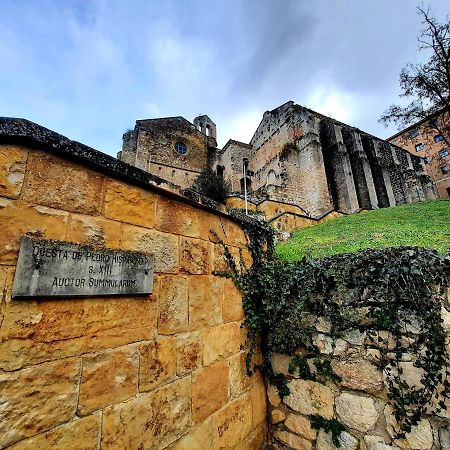 Apartamento Medieval En El Camino De Santiago Estella Exteriör bild