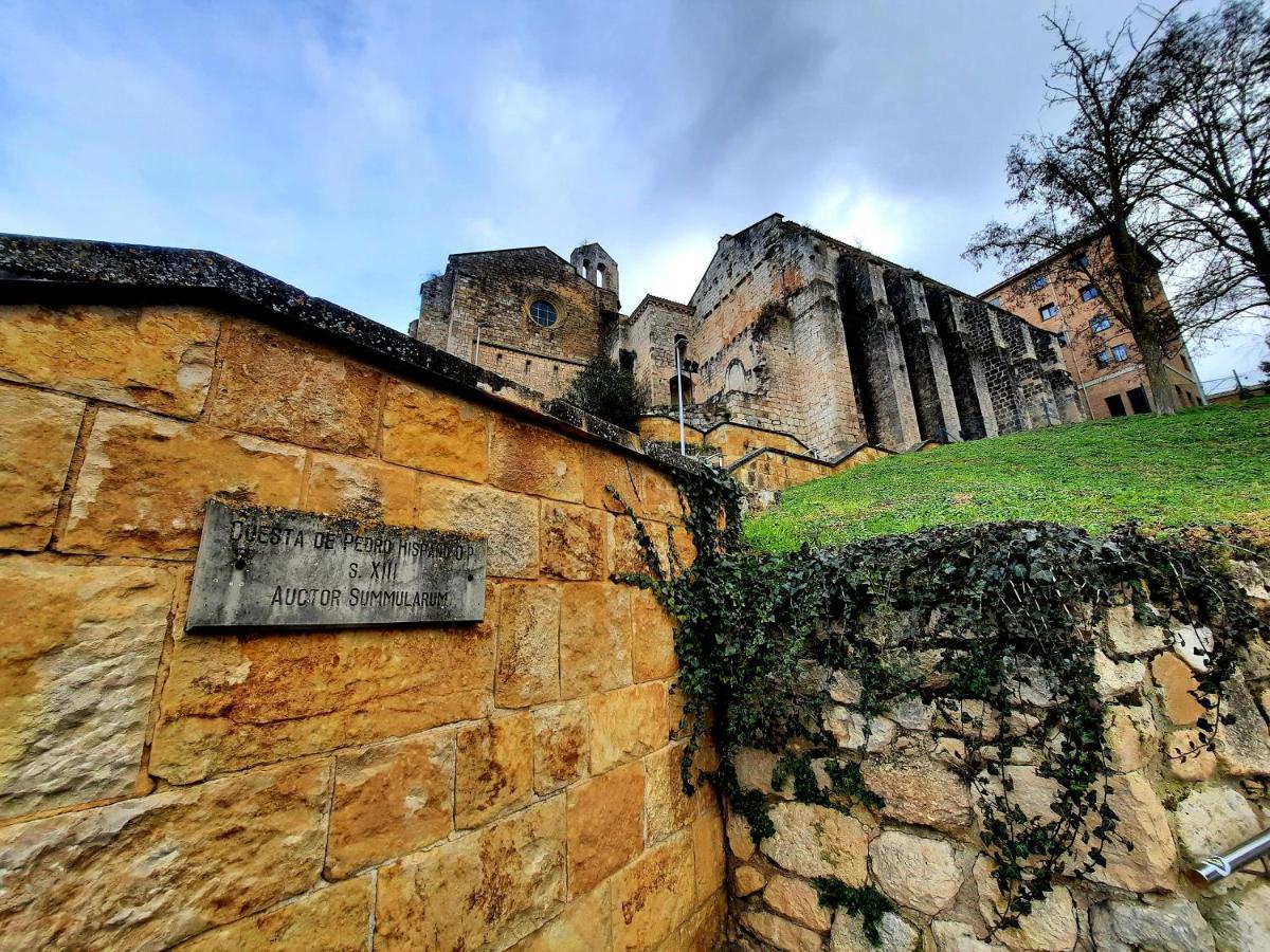 Apartamento Medieval En El Camino De Santiago Estella Exteriör bild